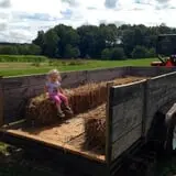Little Cane Creek Farm & Corn Maze photo