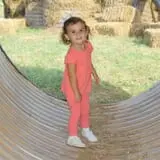 Little Cane Creek Farm & Corn Maze photo