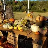 Little Cane Creek Farm & Corn Maze photo
