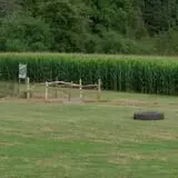 Little Cane Creek Farm & Corn Maze photo
