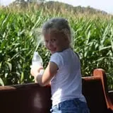 Little Cane Creek Farm & Corn Maze photo
