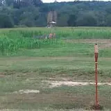 Little Cane Creek Farm & Corn Maze photo