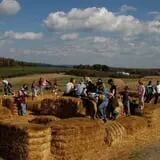 Little Cane Creek Farm & Corn Maze photo