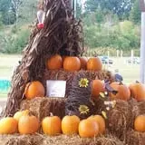 Little Cane Creek Farm & Corn Maze photo