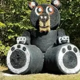 Little Cane Creek Farm & Corn Maze photo