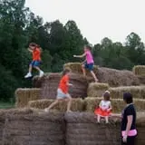 Little Cane Creek Farm & Corn Maze photo