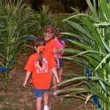 Little Cane Creek Farm & Corn Maze photo
