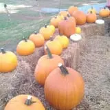 Little Cane Creek Farm & Corn Maze photo