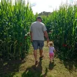 Little Cane Creek Farm & Corn Maze photo