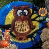 Little Cane Creek Farm & Corn Maze photo