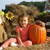 Little Cane Creek Farm & Corn Maze photo