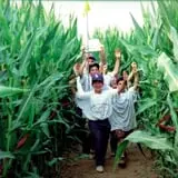 Little Cane Creek Farm & Corn Maze photo