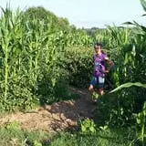Little Cane Creek Farm & Corn Maze photo