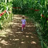 Little Cane Creek Farm & Corn Maze photo