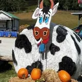 Little Cane Creek Farm & Corn Maze photo