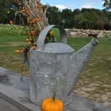 Cucumber Hill Farm Corn Maze & Hayride photo