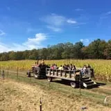 Cucumber Hill Farm Corn Maze & Hayride photo
