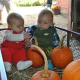 Cucumber Hill Farm Corn Maze & Hayride photo