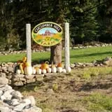 Cucumber Hill Farm Corn Maze & Hayride photo