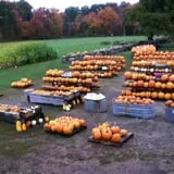 Cucumber Hill Farm Corn Maze & Hayride photo