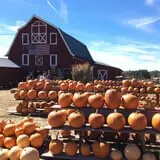 Cucumber Hill Farm Corn Maze & Hayride photo
