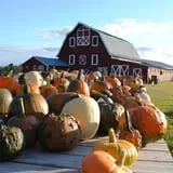 Cucumber Hill Farm Corn Maze & Hayride photo