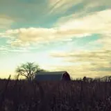 Cucumber Hill Farm Corn Maze & Hayride photo