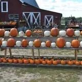 Cucumber Hill Farm Corn Maze & Hayride photo