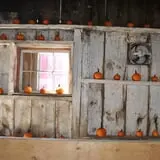 Cucumber Hill Farm Corn Maze & Hayride photo