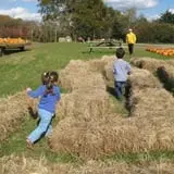 Cucumber Hill Farm Corn Maze & Hayride photo