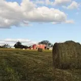 Cucumber Hill Farm Corn Maze & Hayride photo