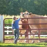 Cucumber Hill Farm Corn Maze & Hayride photo