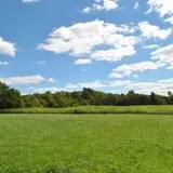 Cucumber Hill Farm Corn Maze & Hayride photo