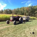 Cucumber Hill Farm Corn Maze & Hayride photo