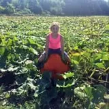 Cucumber Hill Farm Corn Maze & Hayride photo