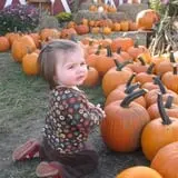 Cucumber Hill Farm Corn Maze & Hayride photo