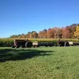 Cucumber Hill Farm Corn Maze & Hayride photo