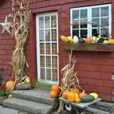 Cucumber Hill Farm Corn Maze & Hayride photo