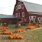 Cucumber Hill Farm Corn Maze & Hayride photo