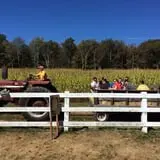 Cucumber Hill Farm Corn Maze & Hayride photo