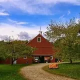 Apple Annie photo