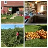 Apple Annie photo
