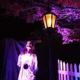 Taylor Manor photo