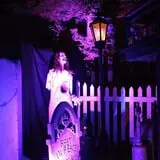 Taylor Manor photo
