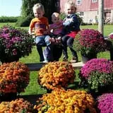 Panek's Pickin' Patch photo