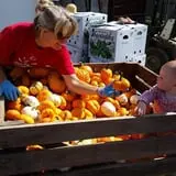 Panek's Pickin' Patch photo