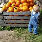 Panek's Pickin' Patch photo