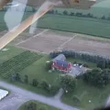 Panek's Pickin' Patch photo