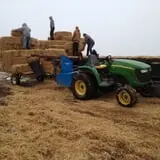 Panek's Pickin' Patch photo
