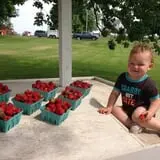Panek's Pickin' Patch photo
